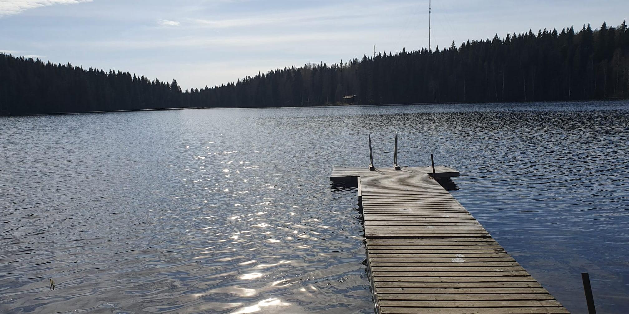 Blick vom Steg auf den See