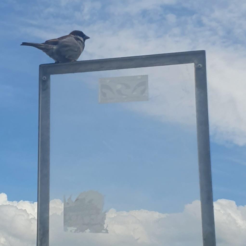 Rahmen_mit_Vogel_und_Himmel (c) Oliver Wolff Leerer Rahmen mit Vogel vor dem Himmel
