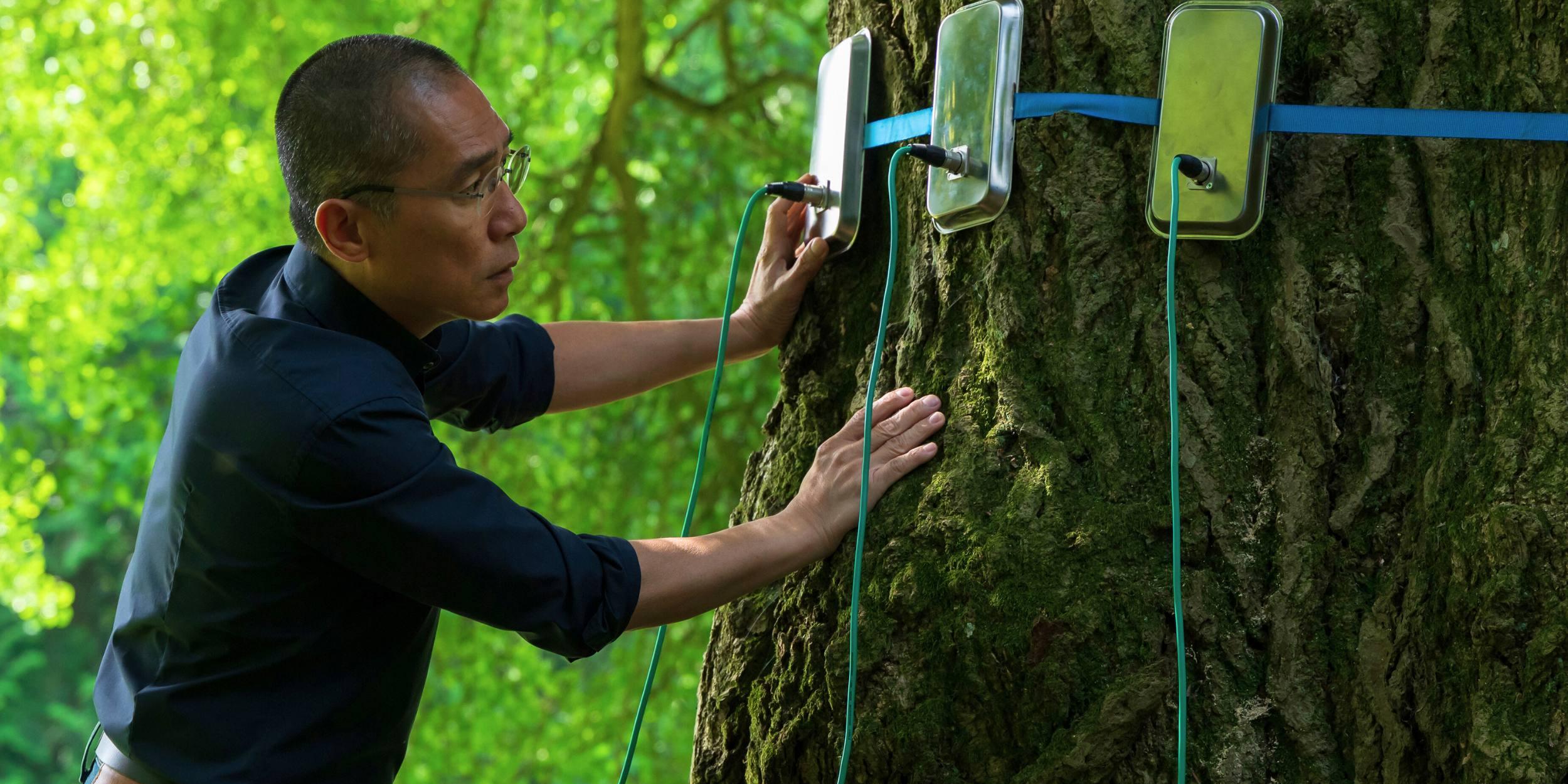 Neurowissenschaftler Tony forscht am Gingko
