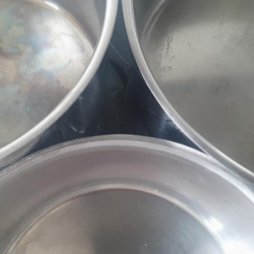 Weintrauben-hängend2-edit-20250826082839