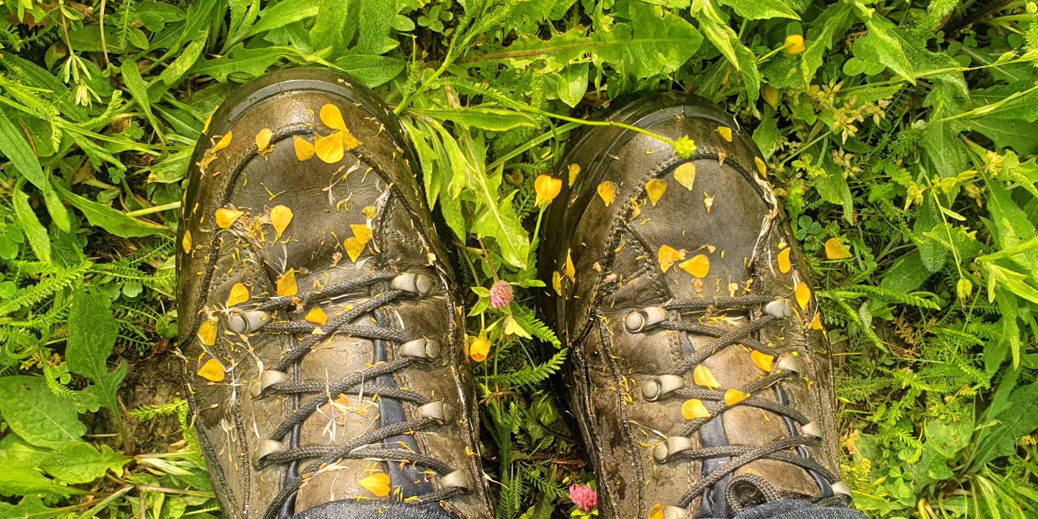 Wanderschuhe mit bunten Blueten