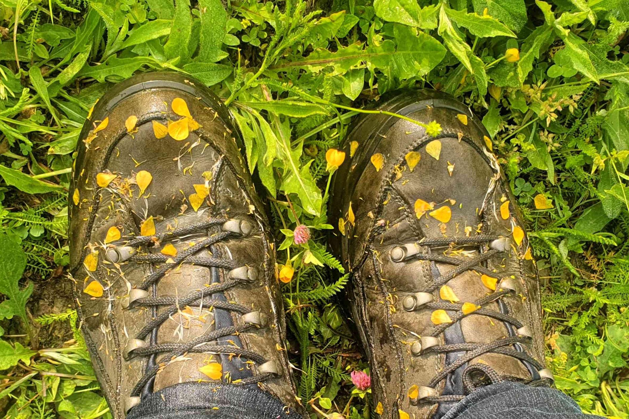 Wanderschuhe mit bunten Blueten