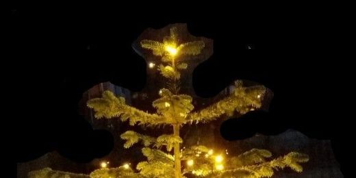 Weihnachtsbaum