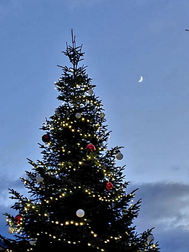 Weihnachtsbaum mitStern
