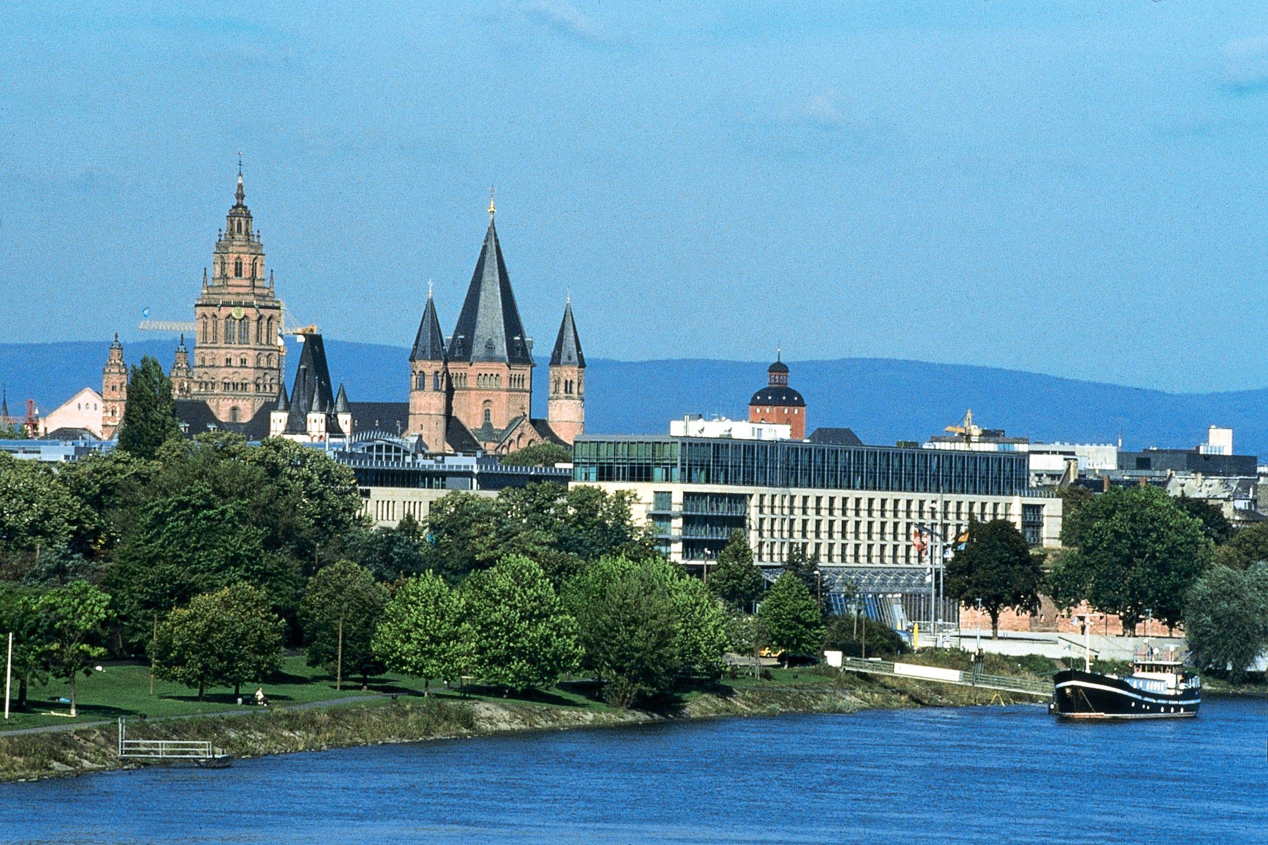 Panorama von Mainz mit Dom